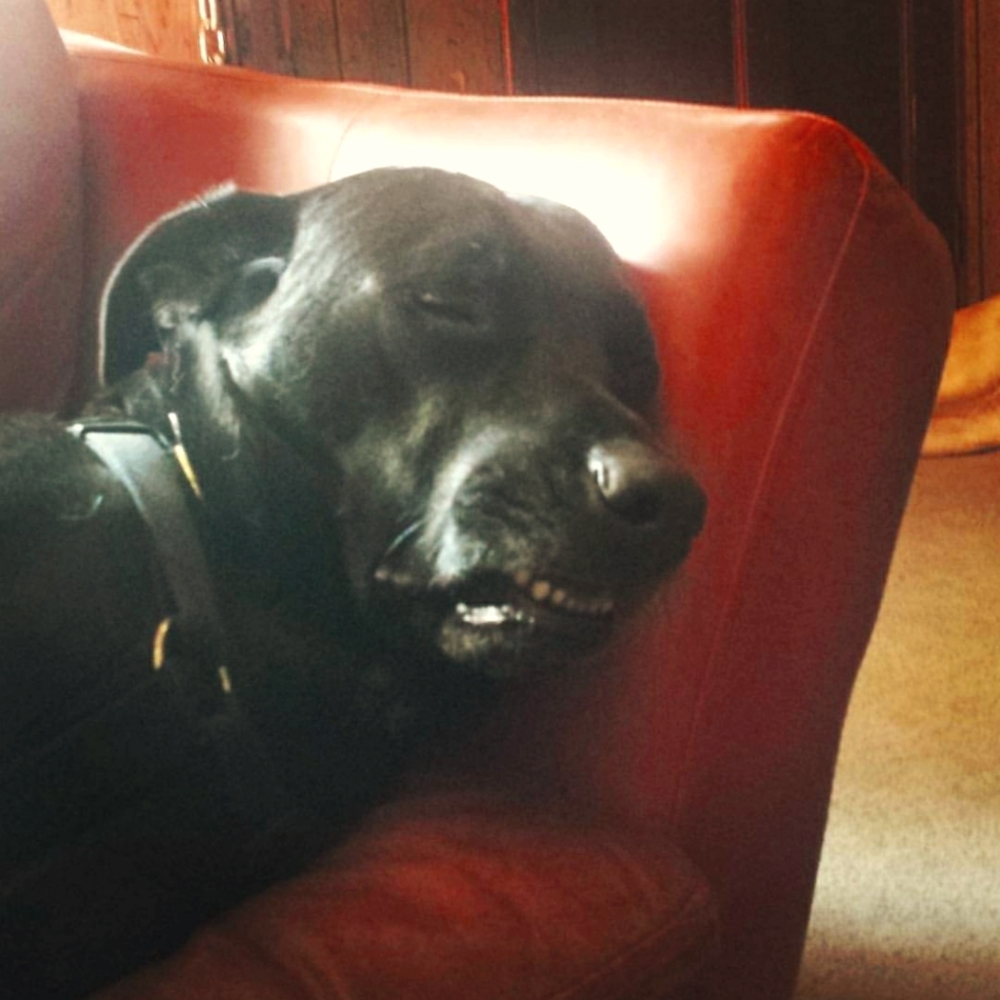 Meet your Posher, Pamela